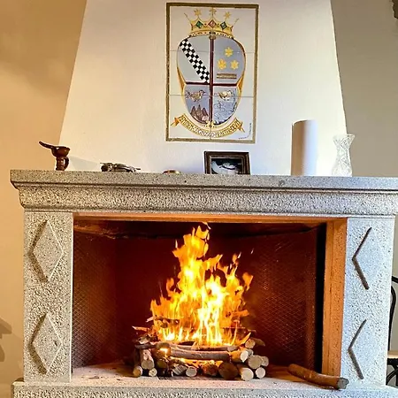 Palazzo Falletti וילה *