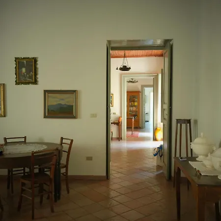 Palazzo Falletti Villa